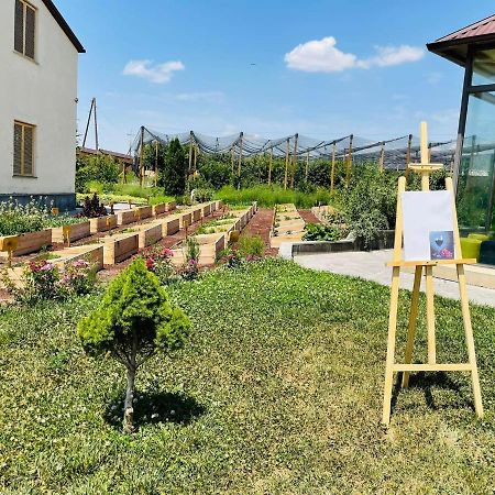 Green Training Center Dzoraghpʼyur Esterno foto